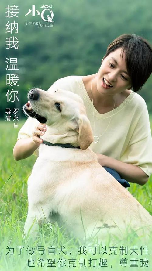 克劳斯塔尔工业大学diploma